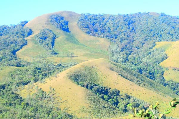 Rolling green hills of the Mullayanagiri range near Chikmagalur