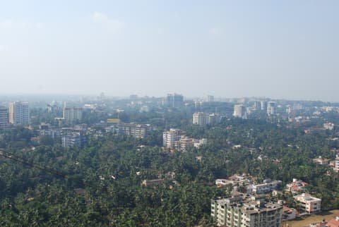 Mangalore city skyline among coconut palms
