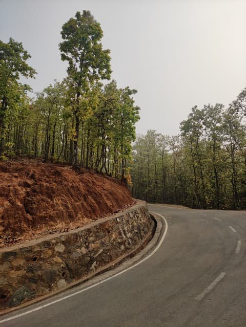 Winding road through the forests of the Western Ghats